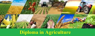 DIPLOMA IN AGRO – FOREST EDUCATION